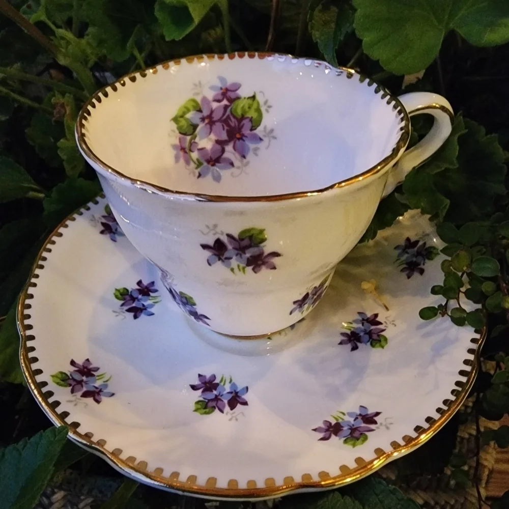 Sweet Violets Tea Cup & Saucer Royal Stafford Bone China England White Purple
